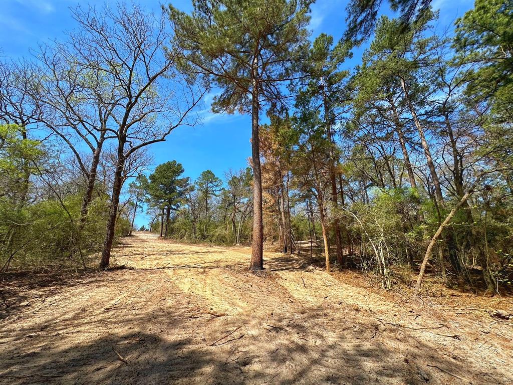 12 Ac Cr 292, Buffalo, Texas image 6