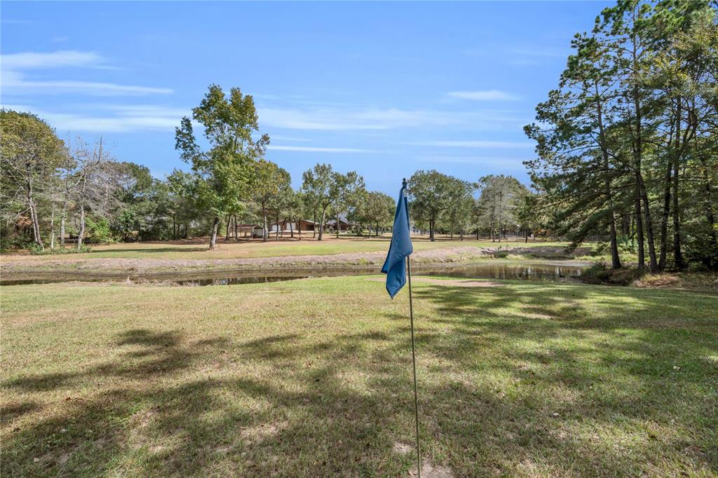 203 Mapleleaf St, Magnolia, Texas image 33