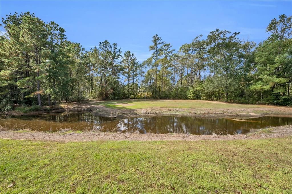 203 Mapleleaf St, Magnolia, Texas image 31