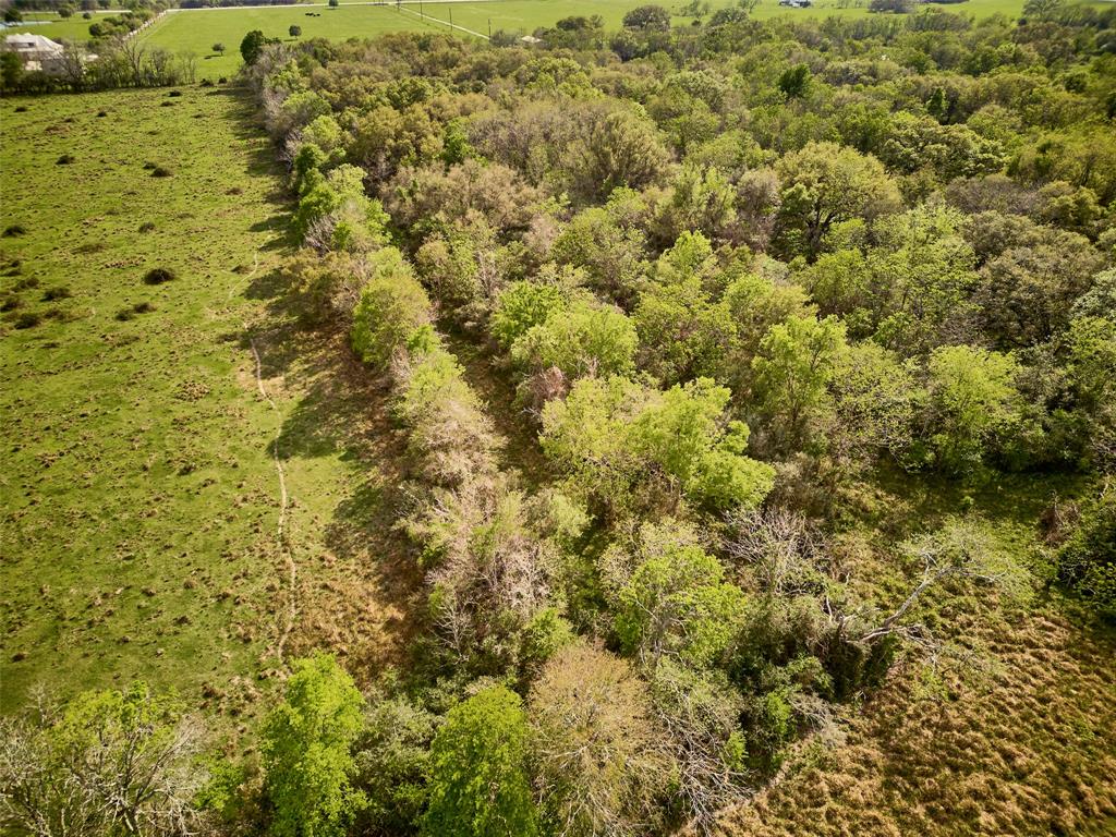 TBD Sawmill Road, Needville, Texas image 29