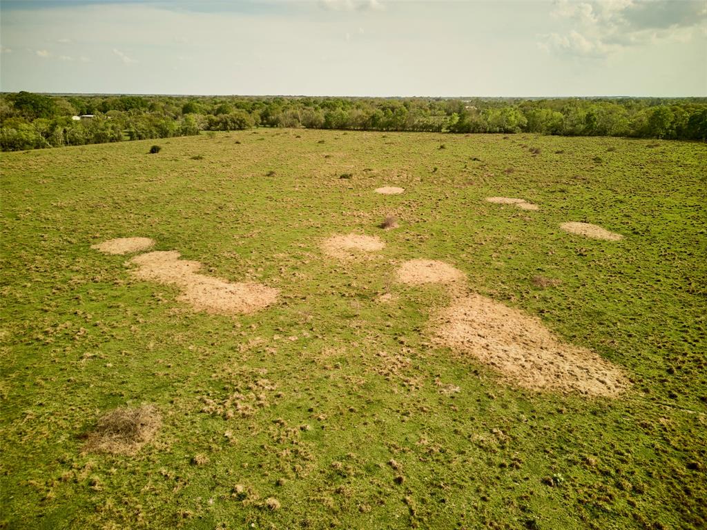 TBD Sawmill Road, Needville, Texas image 27