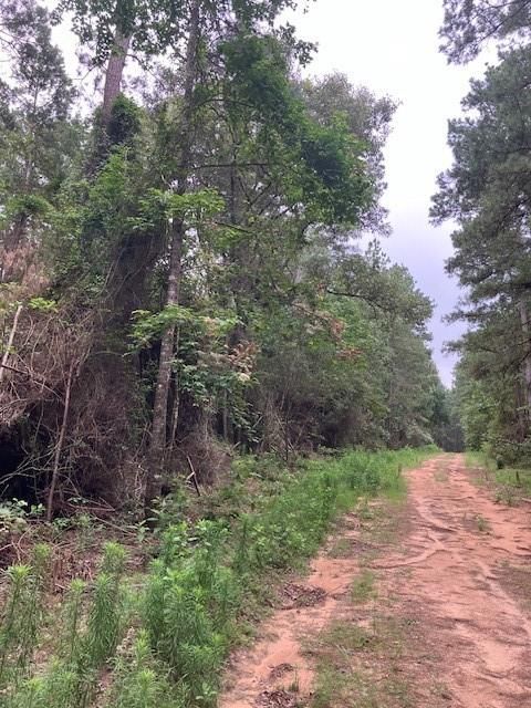 NW Deep Woods Road, Plantersville, TX 77363 - #: 18485201