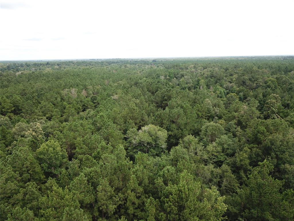 955 County Road 4086, Bon Wier, Texas image 9