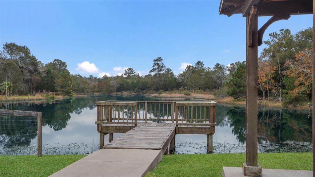 26579 Pin Oak Drive, Hempstead, Texas image 48