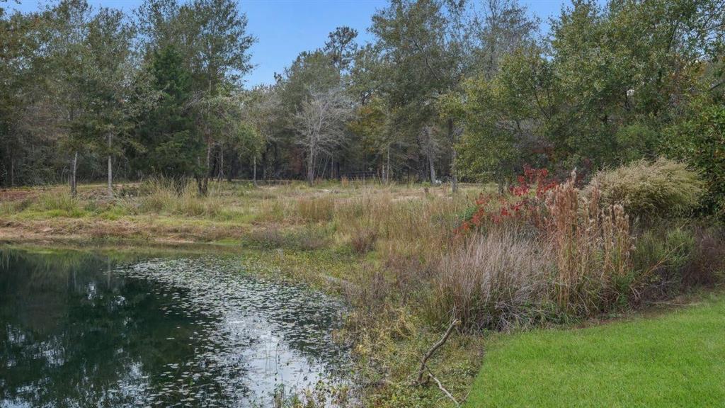 26579 Pin Oak Drive, Hempstead, Texas image 49