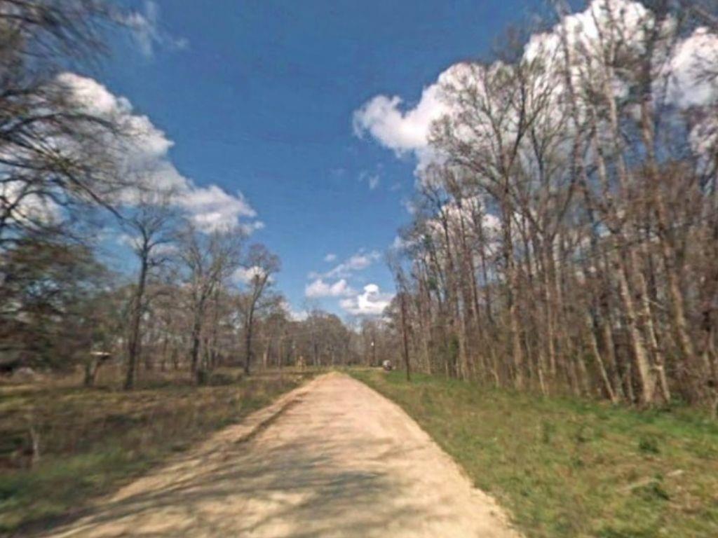 Pecan Road, Dayton, Texas image 4