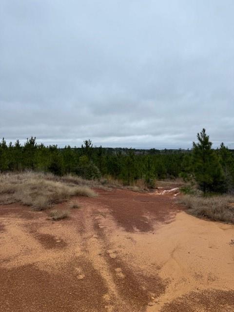 TBD Blackjack Road Tract 44, Livingston, Texas image 4