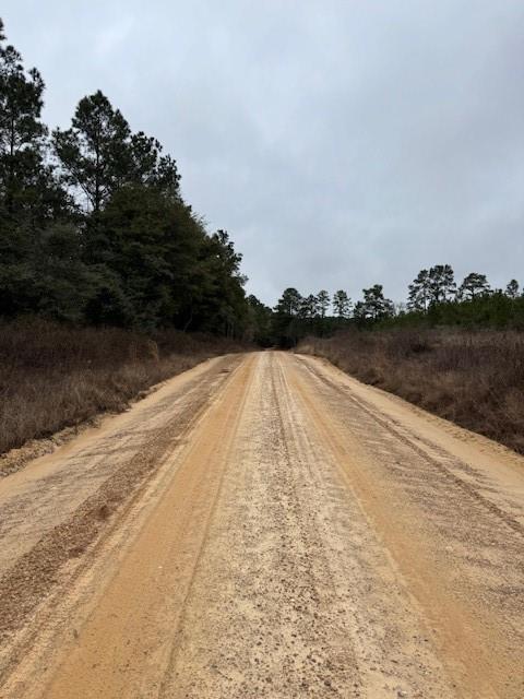 TBD Blackjack Road Tract 44, Livingston, Texas image 2