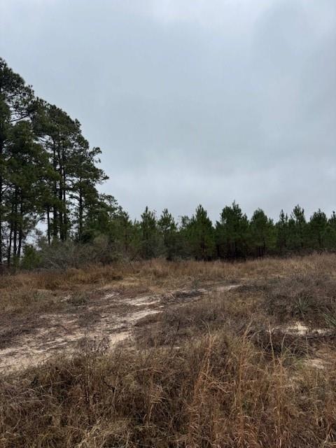 TBD Blackjack Road Tract 44, Livingston, Texas image 3