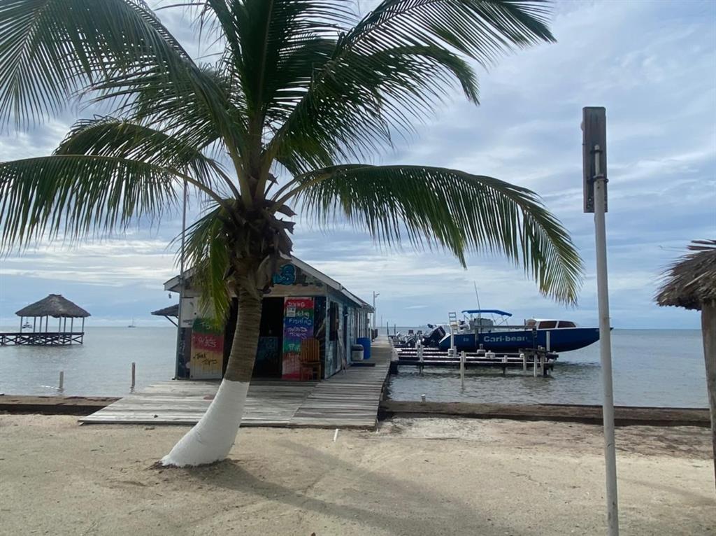 1 Coconut Drive