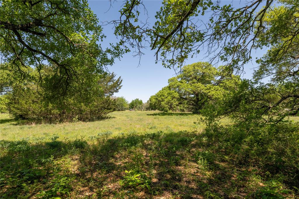 Mount Falls School Rd, Washington, Texas image 1