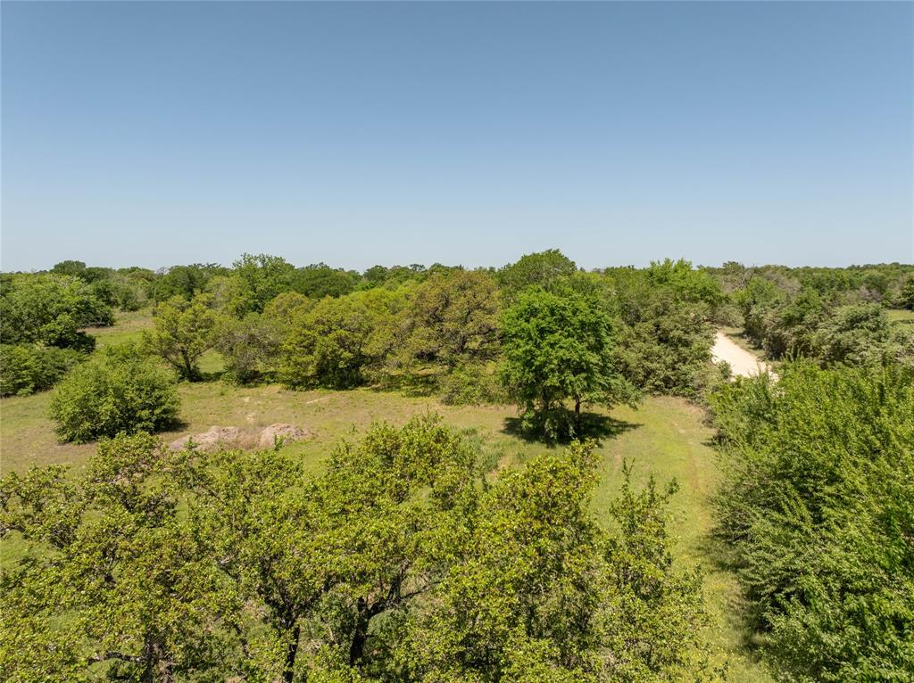 Mount Falls School Rd, Washington, Texas image 11