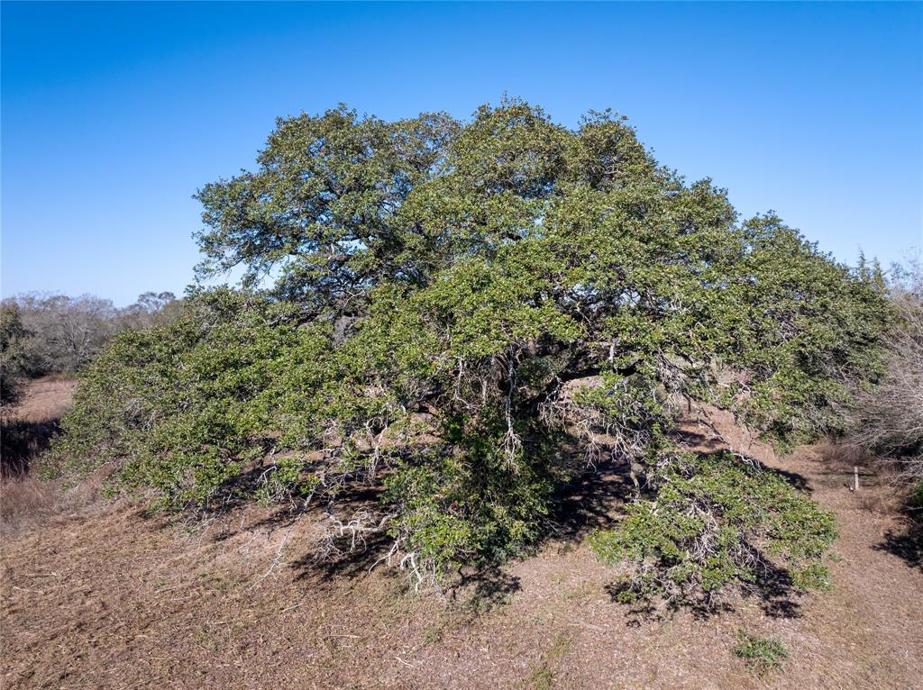 Mount Falls School Rd, Washington, Texas image 4