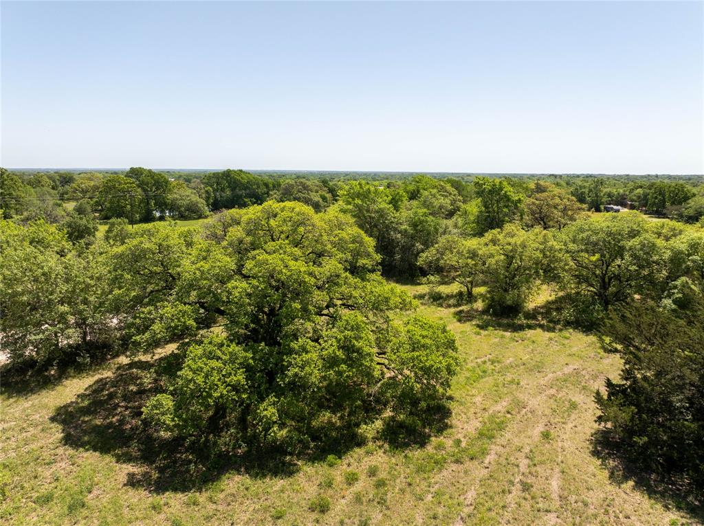 Mount Falls School Rd, Washington, Texas image 8