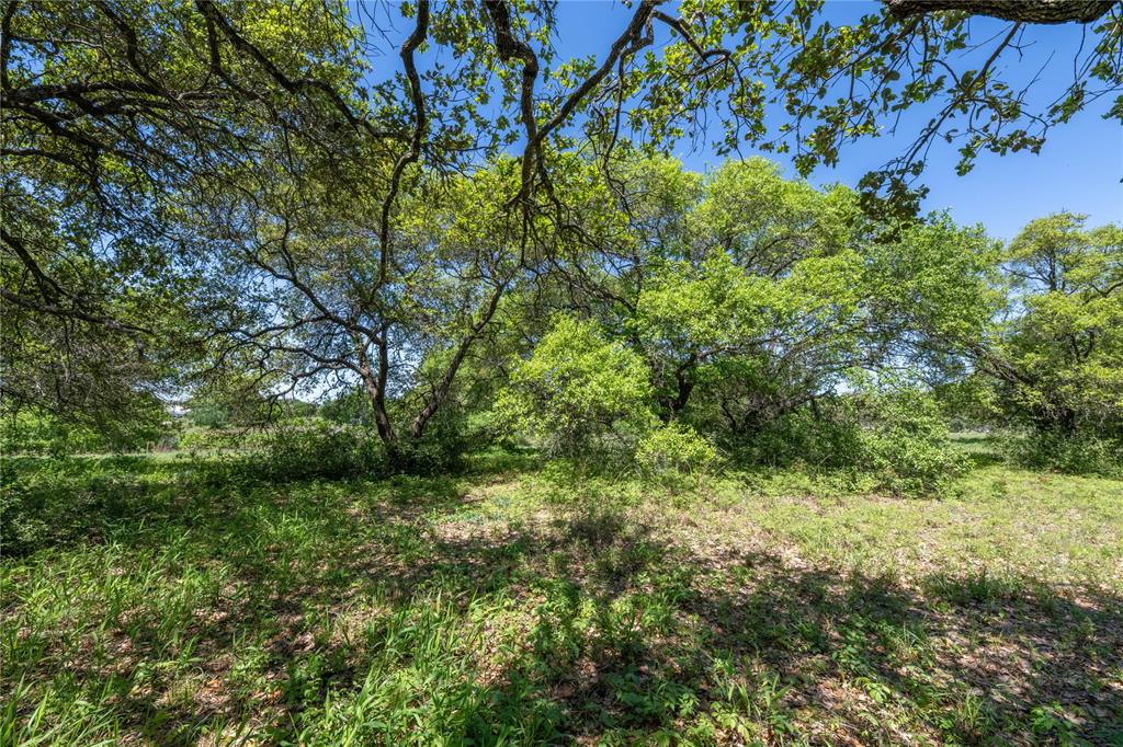 Mount Falls School Rd, Washington, Texas image 17