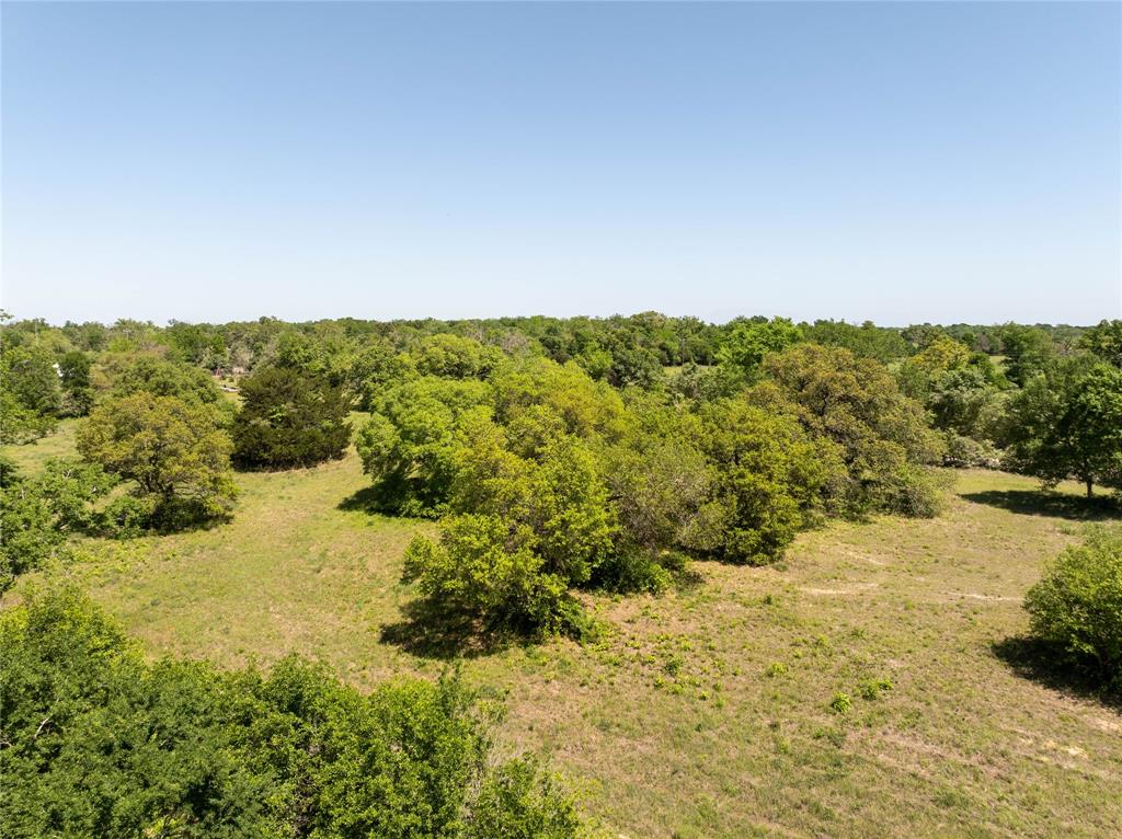 Mount Falls School Rd, Washington, Texas image 12