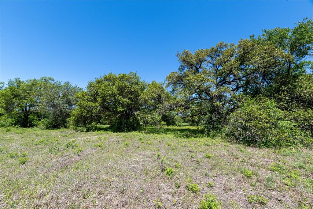 Mount Falls School Rd, Washington, Texas image 18