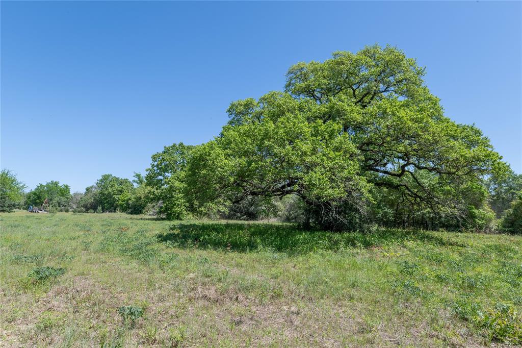 Mount Falls School Rd, Washington, Texas image 14