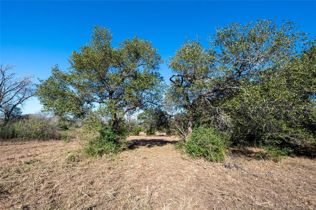 Mount Falls School Rd, Washington, Texas image 3