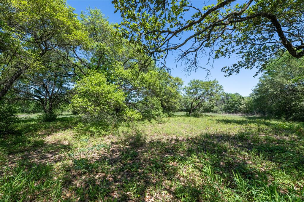 Mount Falls School Rd, Washington, Texas image 16