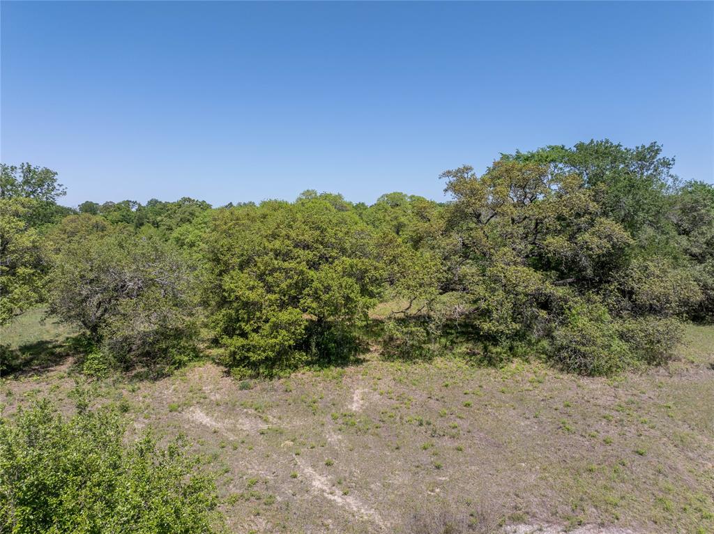 Mount Falls School Rd, Washington, Texas image 10