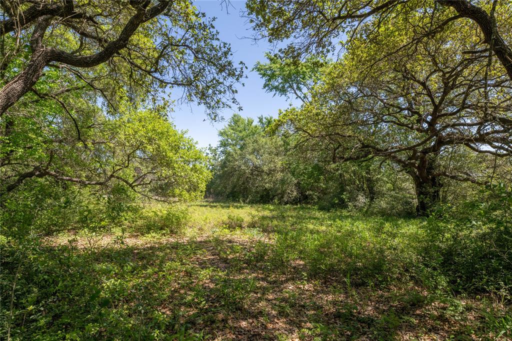 Mount Falls School Rd, Washington, Texas image 15