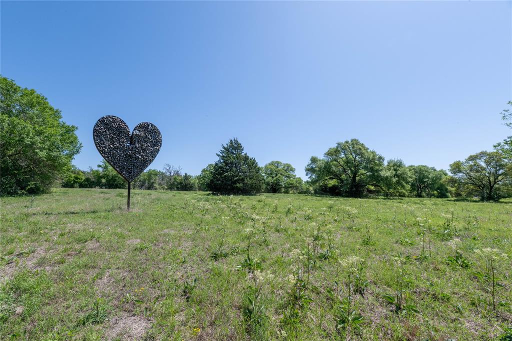 Mount Falls School Rd, Washington, Texas image 13