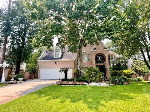 Single Family Residence in The Woodlands TX 59 Acorn Cluster Court.jpg