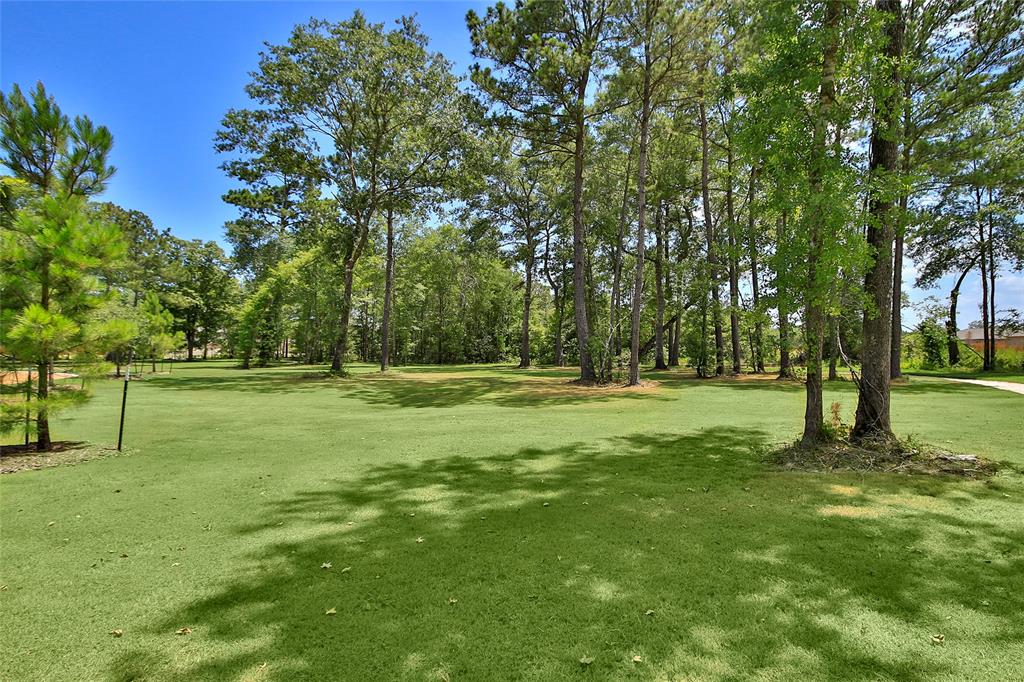 10363 Red Cardinal Drive, Cleveland, Texas image 9