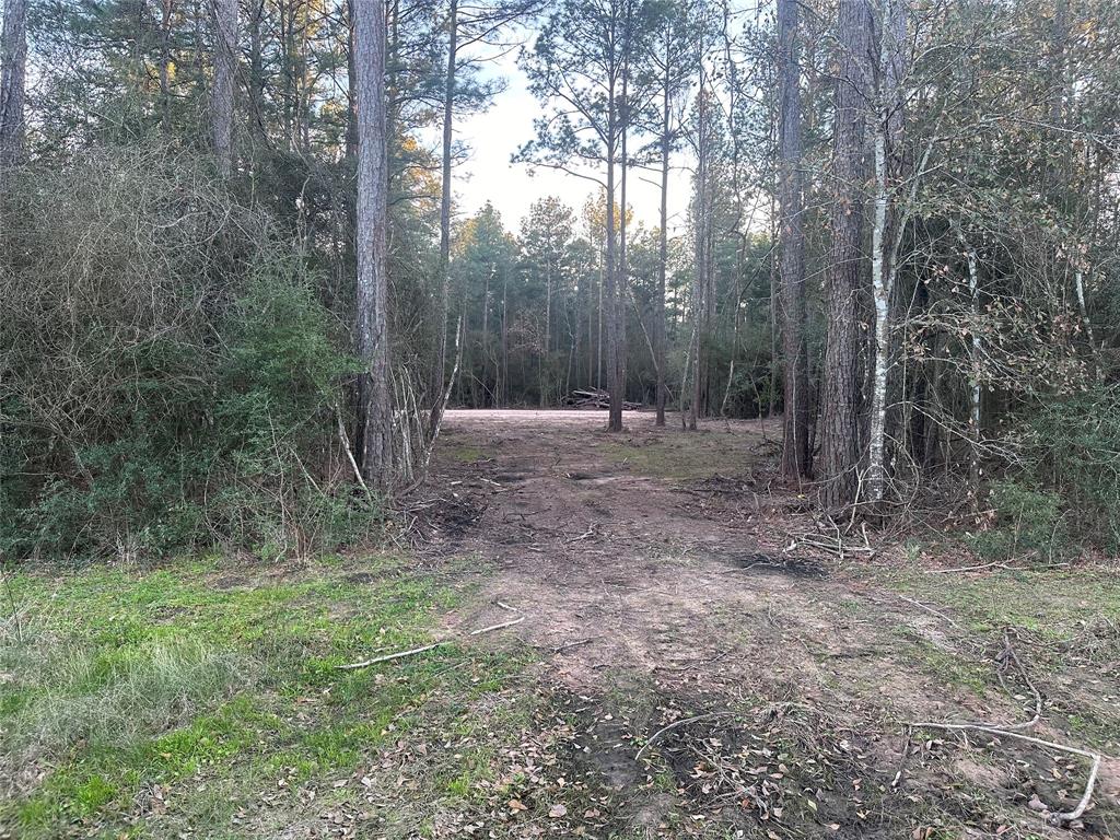 Pecan Road, Plantersville, Texas image 3