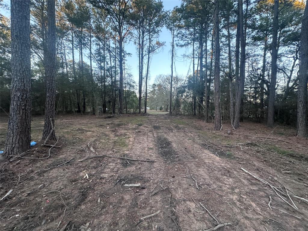 Pecan Road, Plantersville, Texas image 7