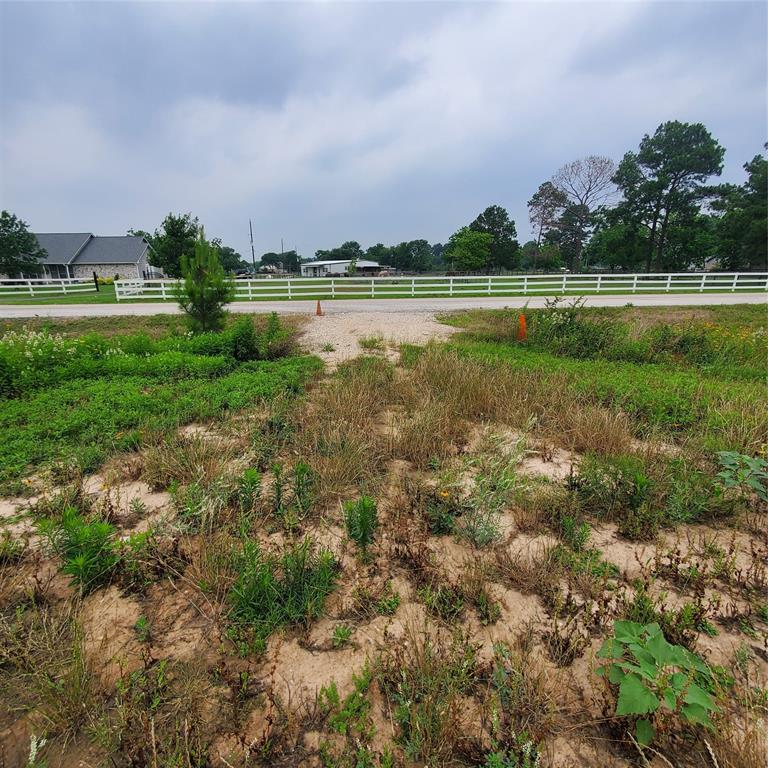 Sprigg Street, Fulshear, Texas image 2