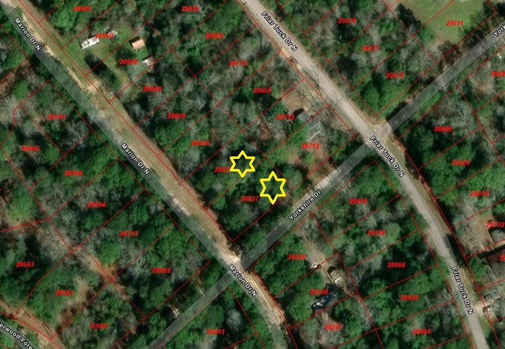358 Marion Drive, Woodville, Texas image 2