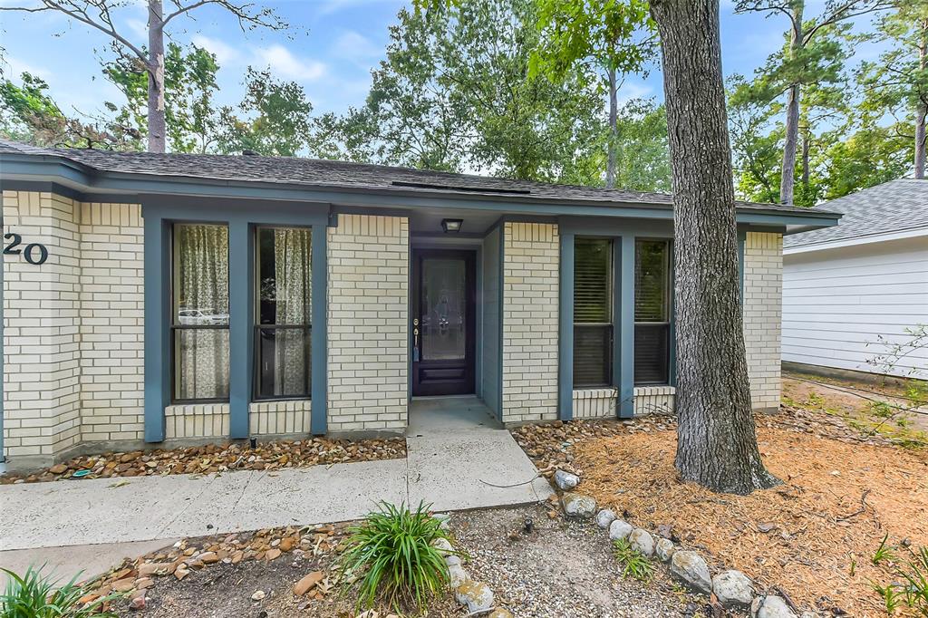 20 Tulip Hill Court, Spring, Texas image 5