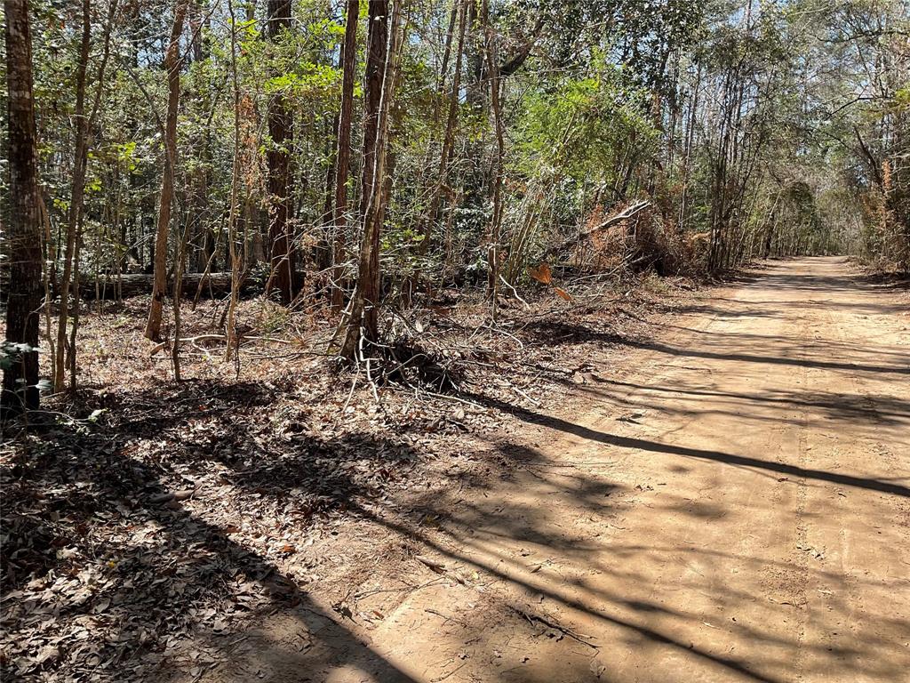 Road 2642, Thicket, Texas image 2