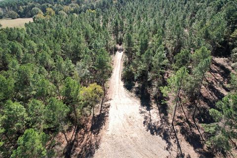 Vacant Land For Sale - TBD- A Hwy 84<br/> Mount Enterprise, TX 75681