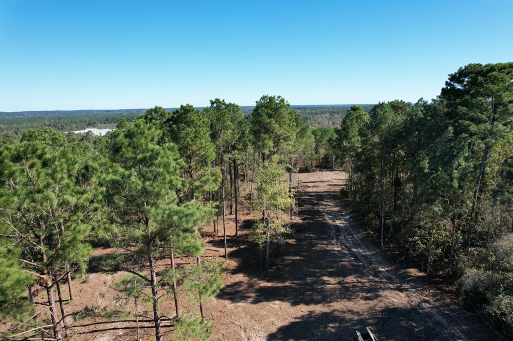 TBD- A Hwy 84, Mount Enterprise, Texas image 4