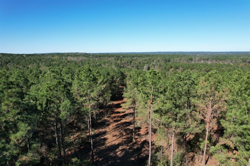 TBD- A Hwy 84, Mount Enterprise, Texas image 3