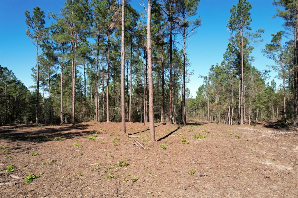 TBD- A Hwy 84, Mount Enterprise, Texas image 10