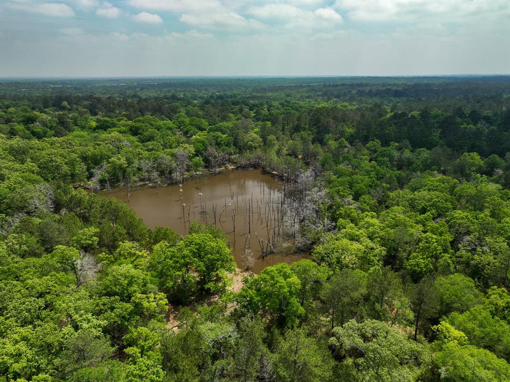 TBD County Road 152, Bedias, Texas image 12