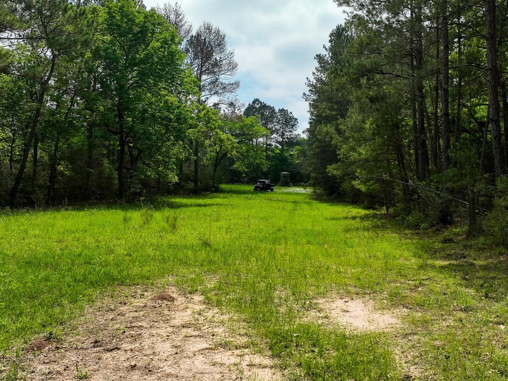 TBD County Road 152, Bedias, Texas image 6