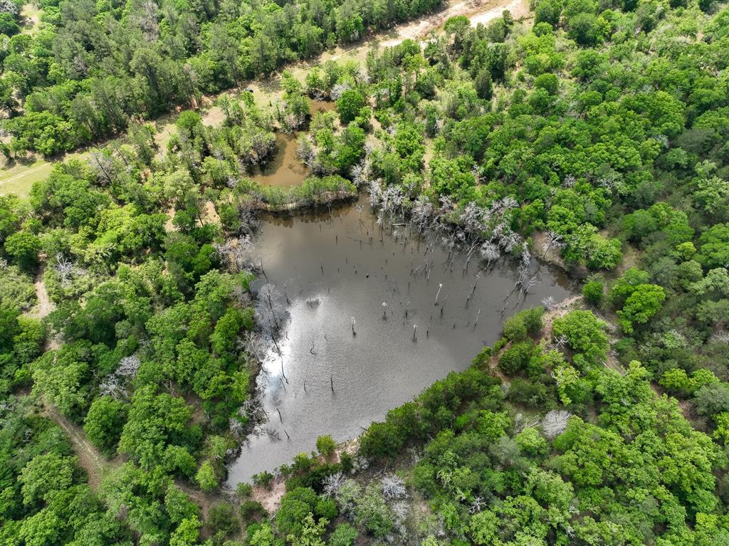 TBD County Road 152, Bedias, Texas image 2