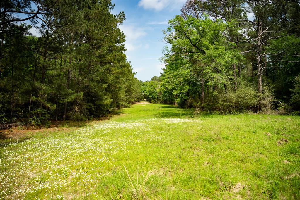 TBD County Road 152, Bedias, Texas image 11