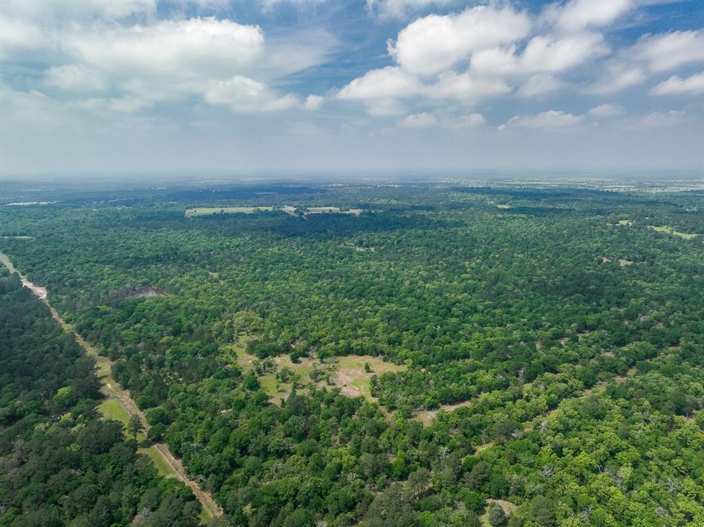 TBD County Road 152, Bedias, Texas image 7