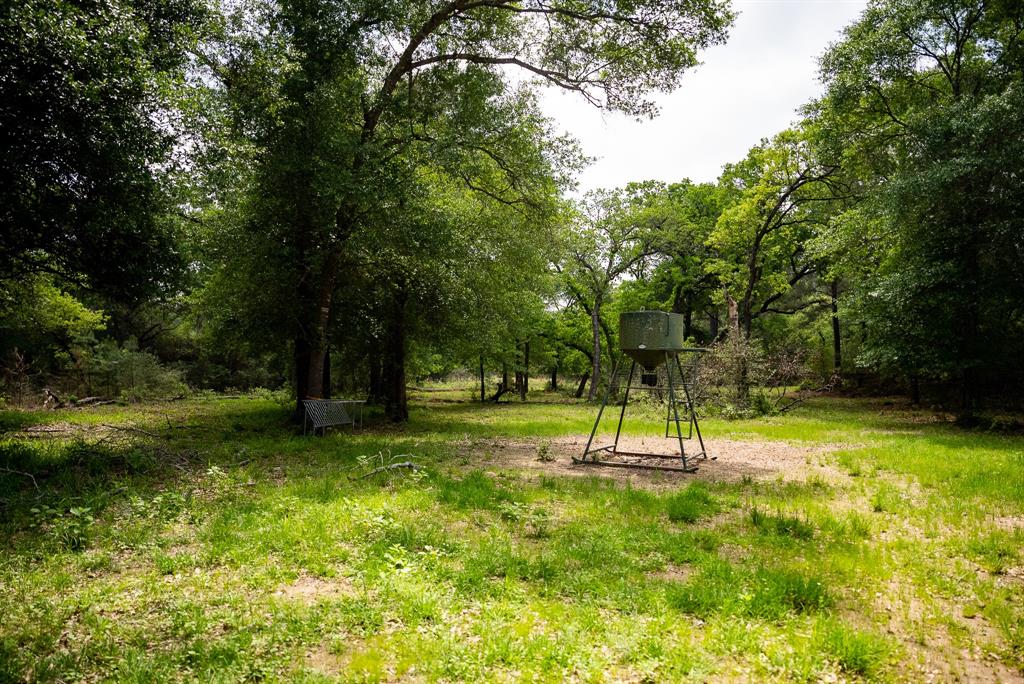 TBD County Road 152, Bedias, Texas image 15