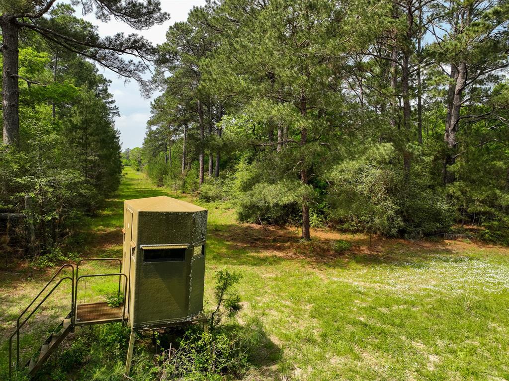 TBD County Road 152, Bedias, Texas image 3