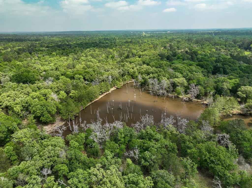 TBD County Road 152, Bedias, Texas image 10