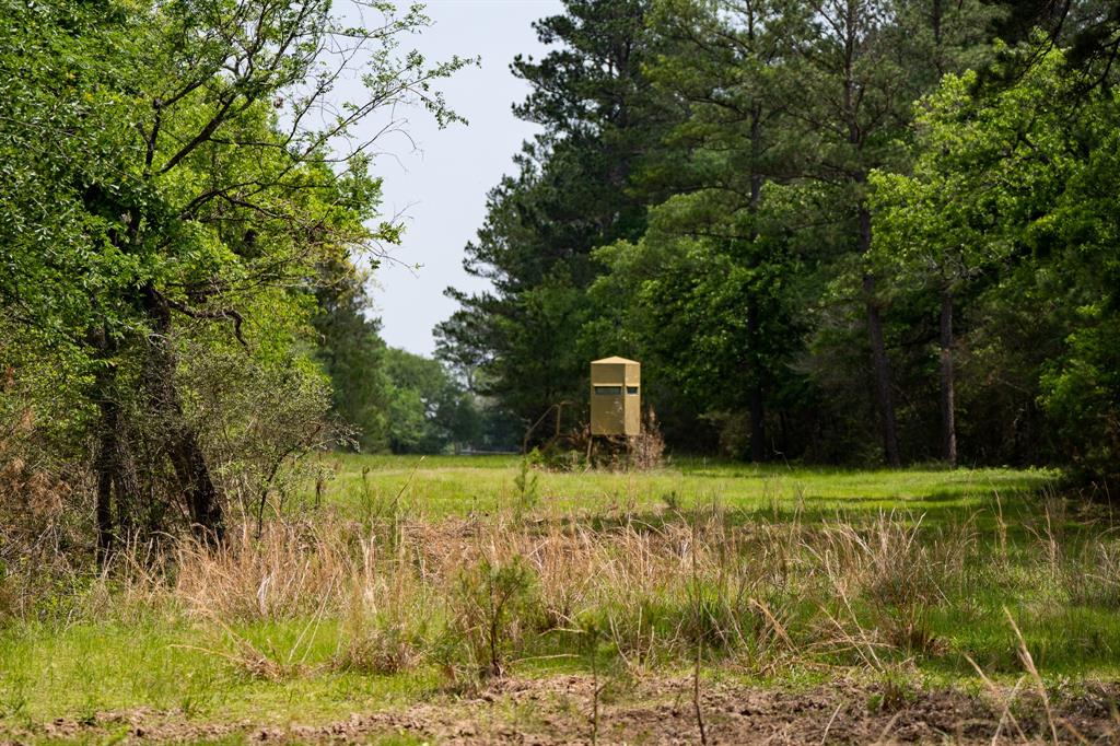 TBD County Road 152, Bedias, Texas image 26