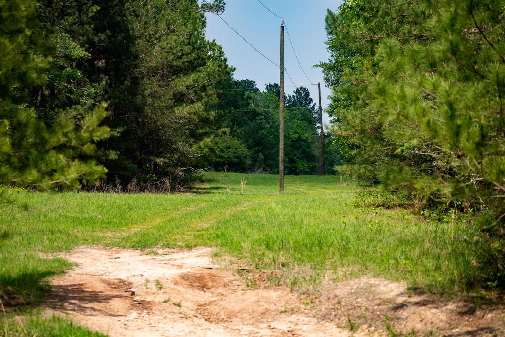 TBD County Road 152, Bedias, Texas image 17