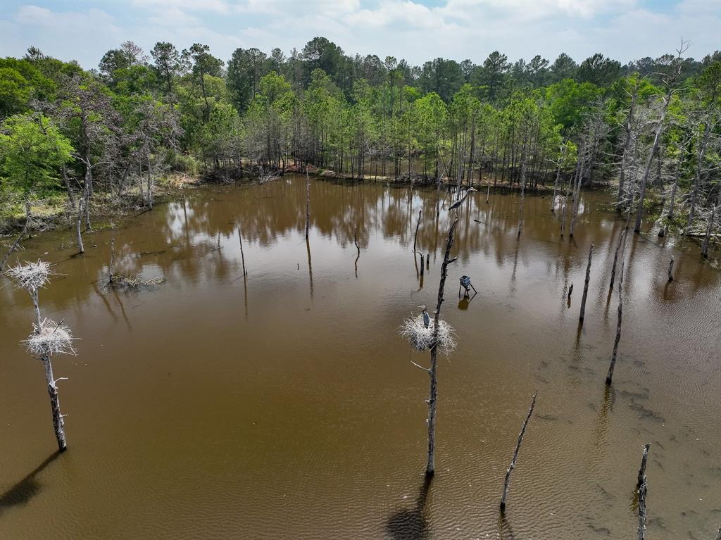 TBD County Road 152, Bedias, Texas image 1